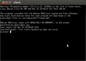 008 - xterm of client VM xterm of client VM from cloonix network simulator lab demo
